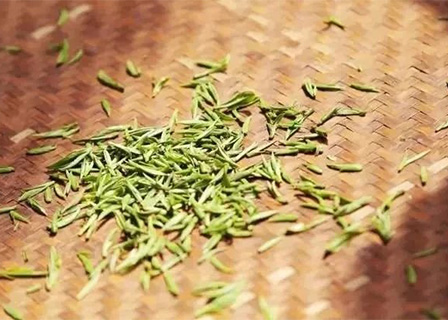 企业网站模板《彩票官网平台首页》（五）